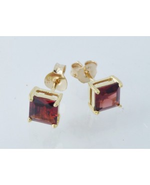 9ct Yellow Gold & Garnet Stud Earrings